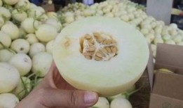 陕西新瓜最新爆料,揭秘背后惊人真相