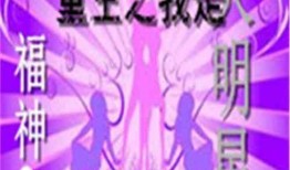 小说综艺爆料大全最新章节